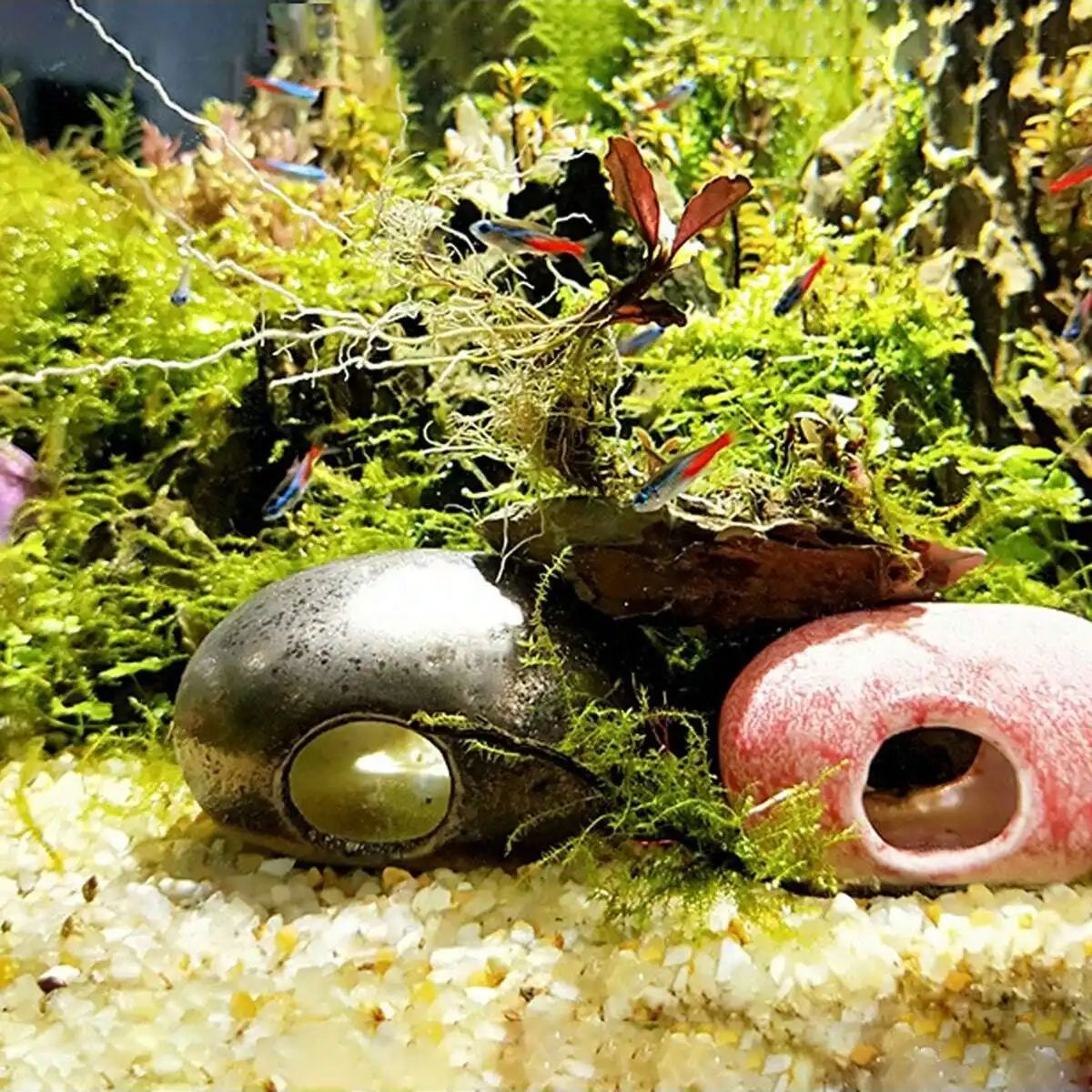 1pc-250g 천연 크리스탈 자갈 돌 마이크로 조경  - Aquarium Marine Sand 리뷰 및 가격
