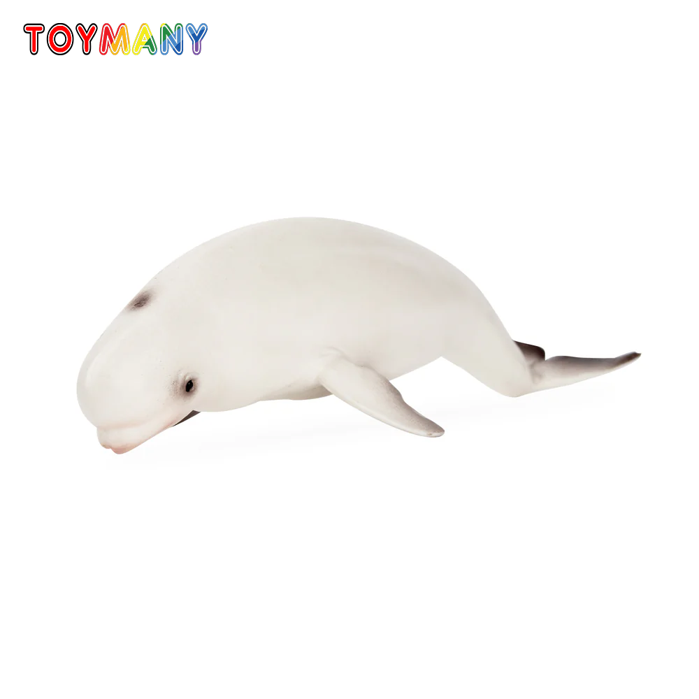 Toymany 시뮬레이션 벨루가 고래 해양 동물 모델  - Marine Aquarium Decorations 리뷰 및 가격