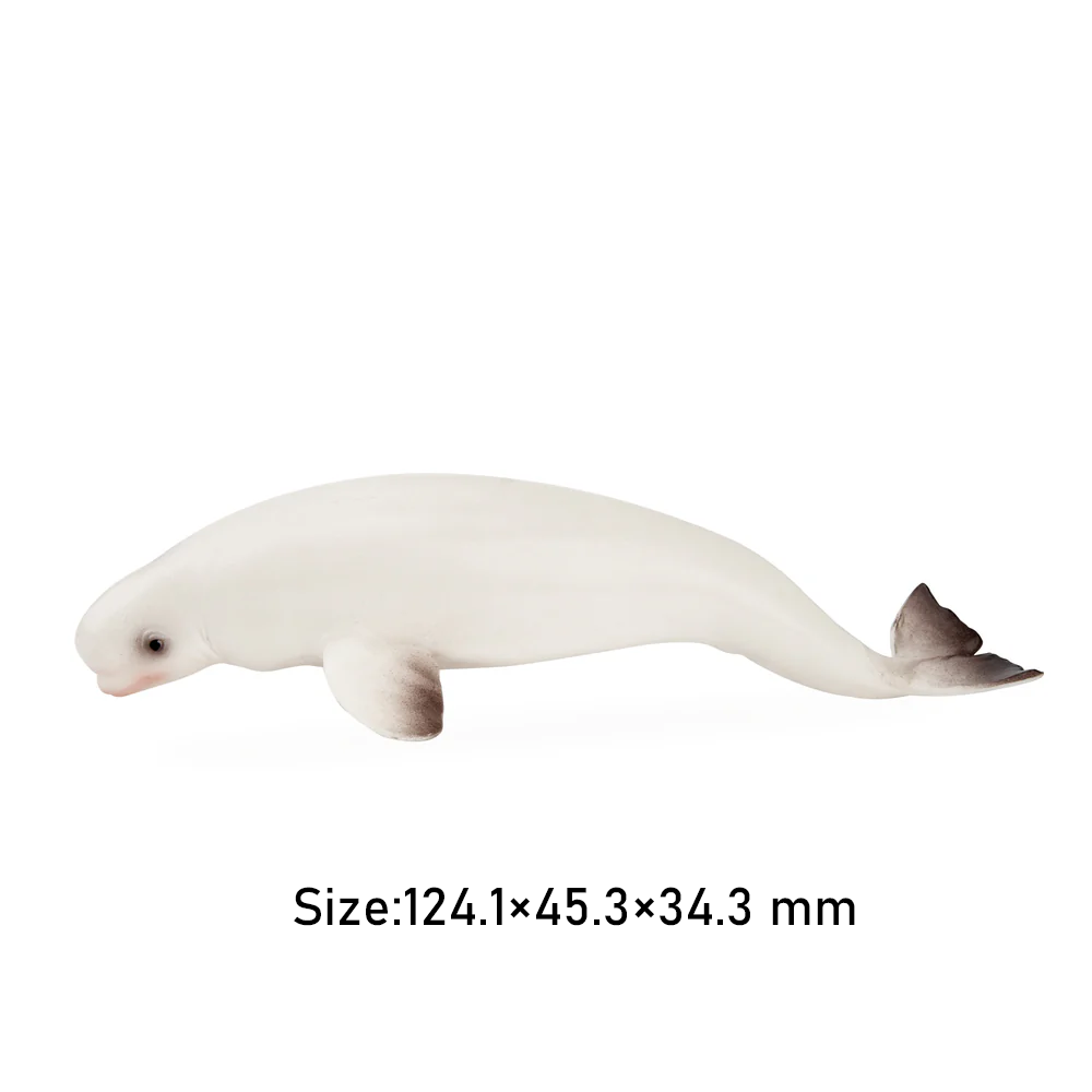 Toymany 시뮬레이션 벨루가 고래 해양 동물 모델  - Marine Aquarium Decorations 리뷰 및 가격