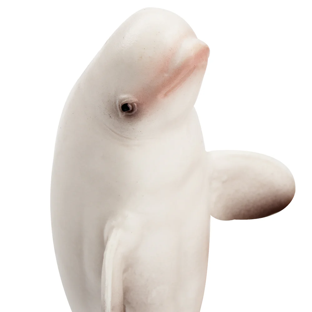 Toymany 시뮬레이션 벨루가 고래 해양 동물 모델  - Marine Aquarium Decorations 리뷰 및 가격