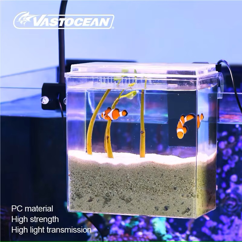 VASTOCEAN 수조 외부 먹이 상자 해양 탱크 확장 - Marine Aquarium Overflow 리뷰 및 가격