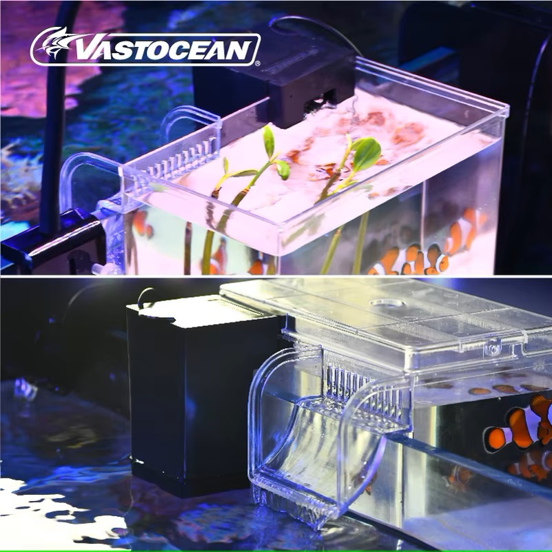 VASTOCEAN 수조 외부 먹이 상자 해양 탱크 확장 - Marine Aquarium Overflow 리뷰 및 가격