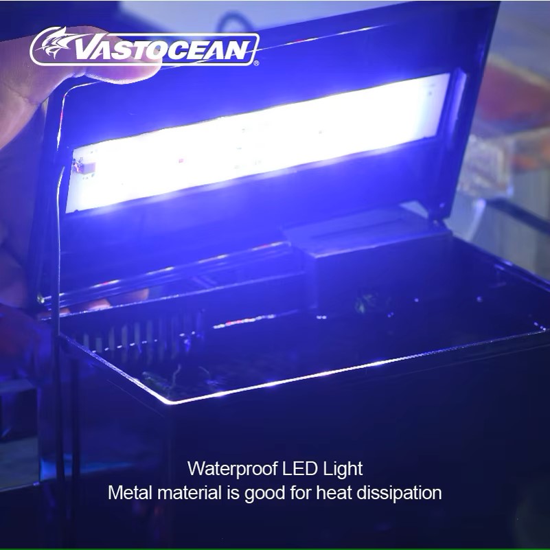 VASTOCEAN 수조 외부 먹이 상자 해양 탱크 확장 - Marine Aquarium Overflow 리뷰 및 가격